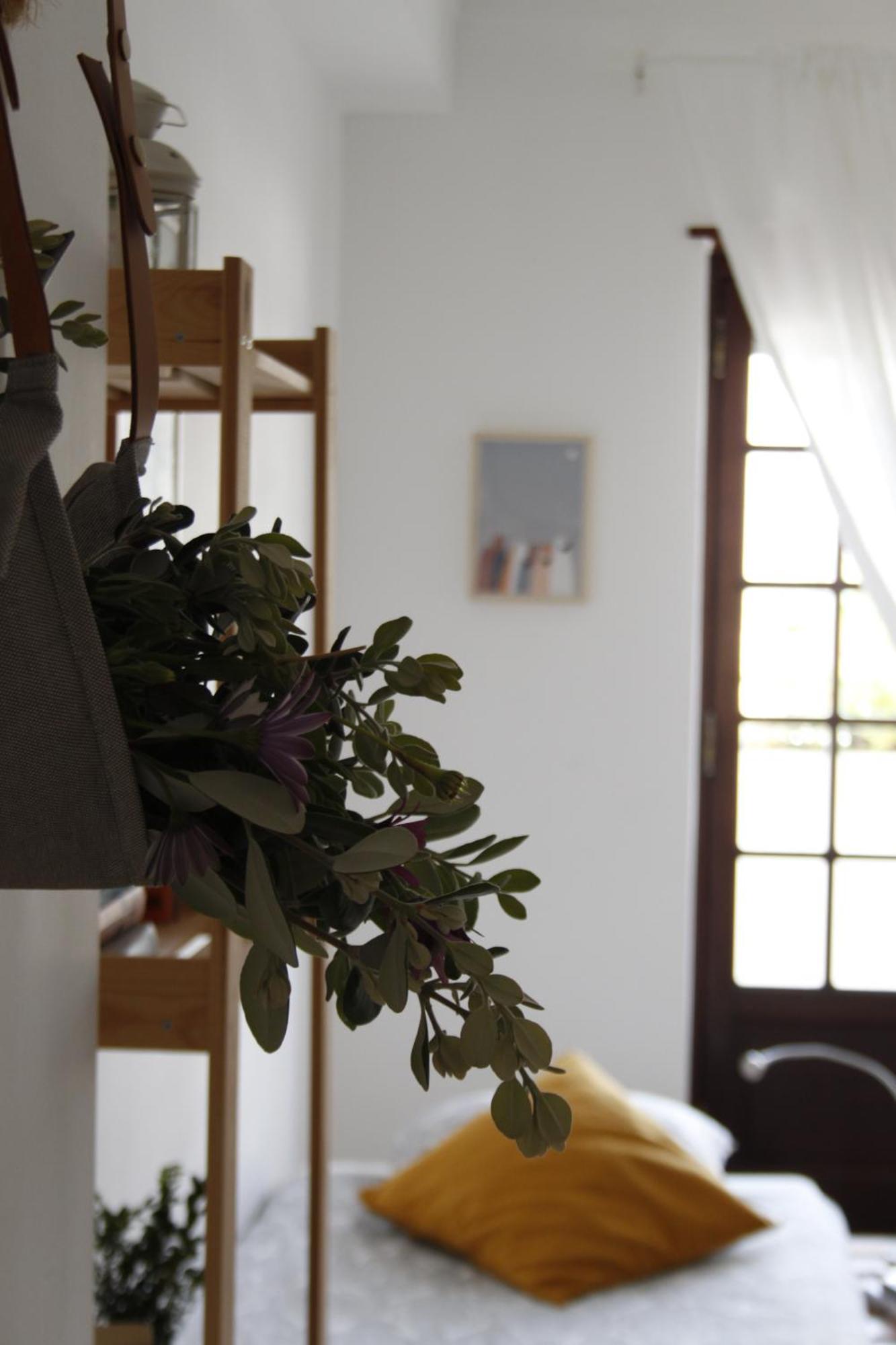 Boa Onda Guesthouse Atouguia Da Baleia Zimmer foto